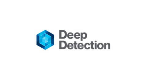 Deep Detection