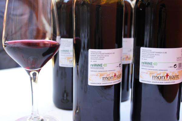 Ampolles de vi reWINE