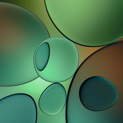Celulas