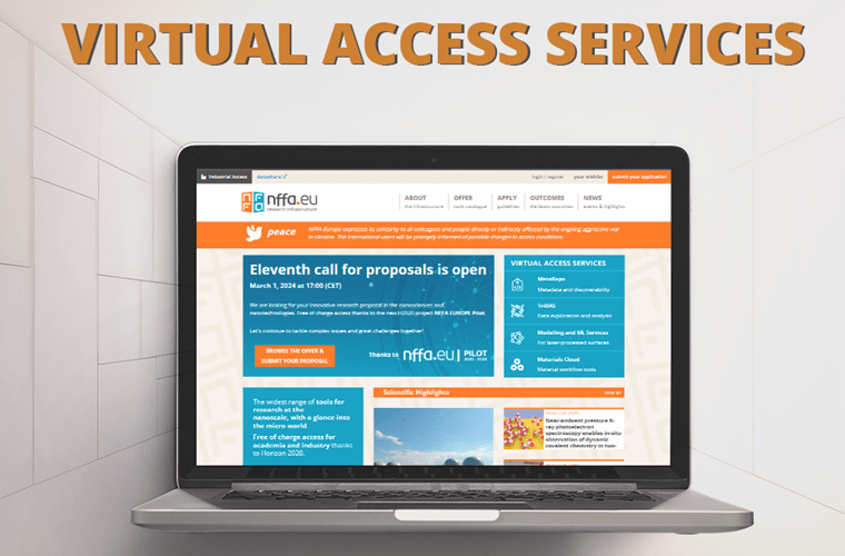 Virtual Access Services