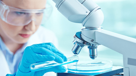 Investigadora examinant una mostra en un microscopi