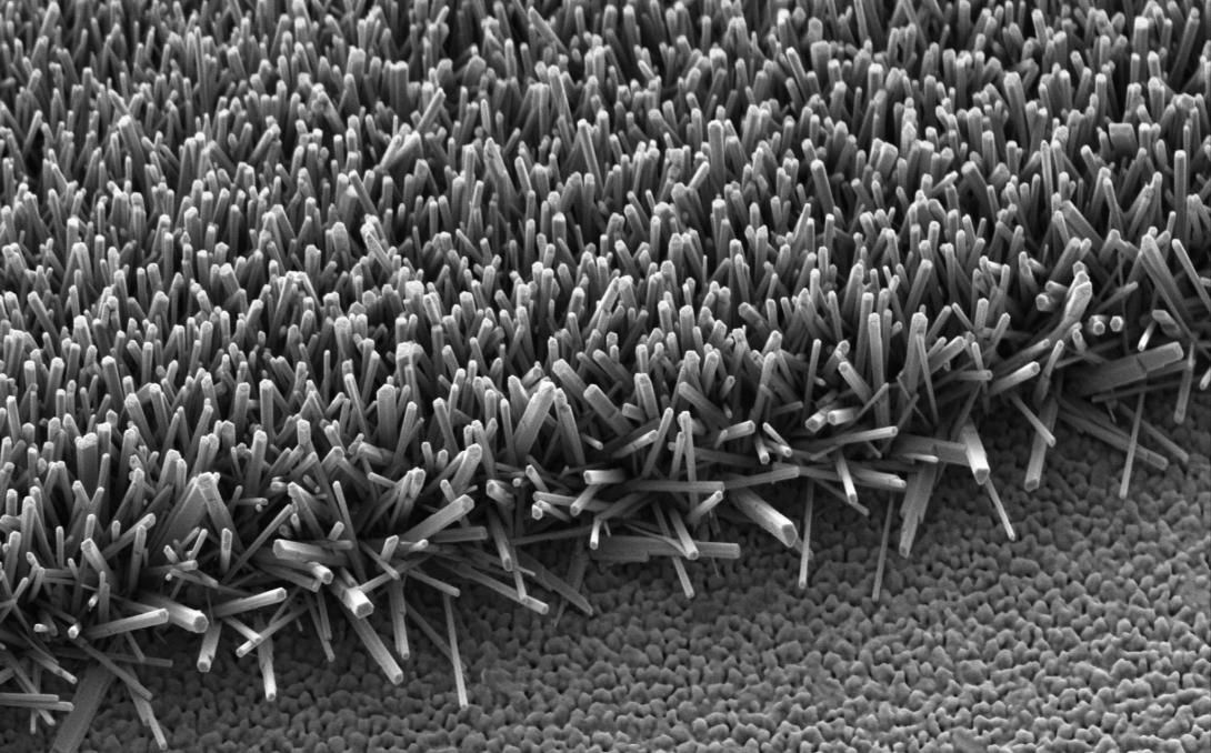 Detall de microscopi
