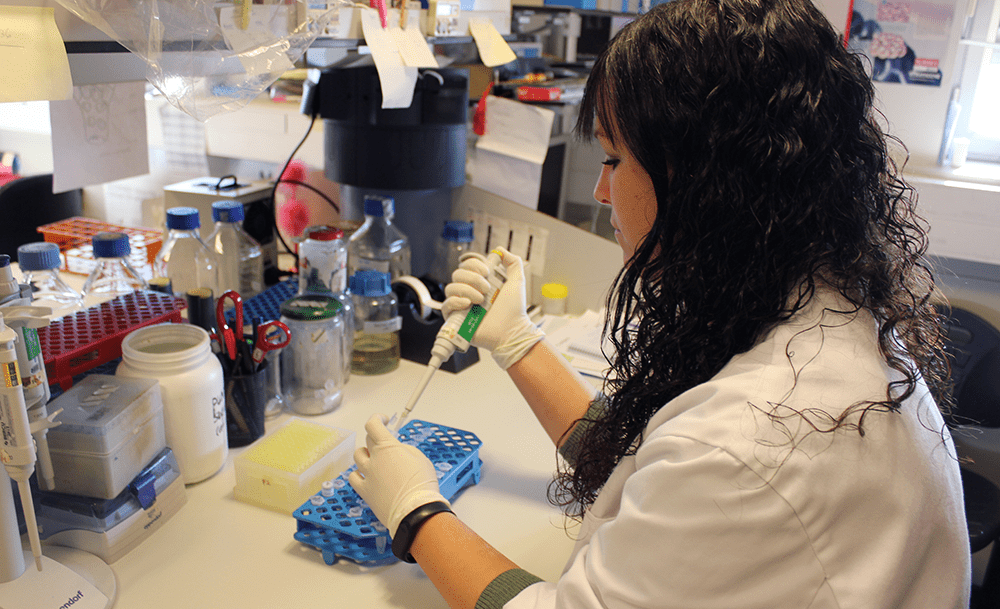 Investigadora treballant al laboratori